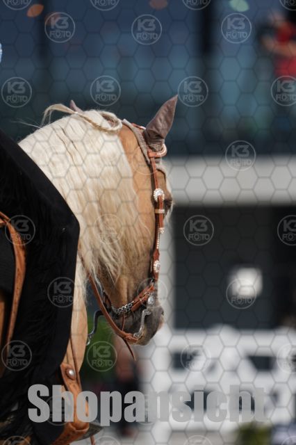 s_A_901060.JPG